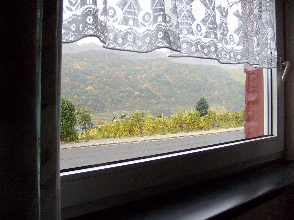 Pension Kroth An Der Mosel Briedel Exteriör bild