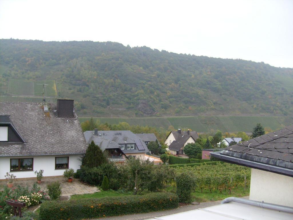 Pension Kroth An Der Mosel Briedel Exteriör bild